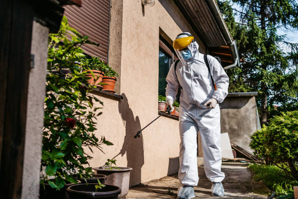 Best Affordable Pest Control Services  in Las Maravillas, NM