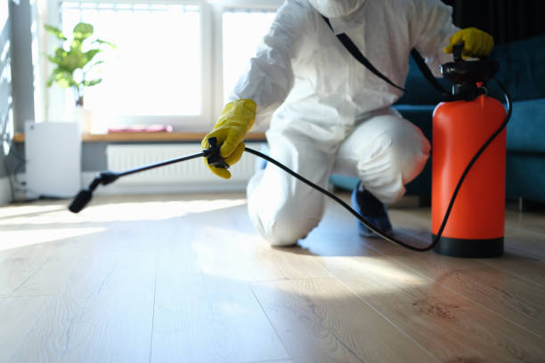 Pest Prevention Services in Las Maravillas, NM