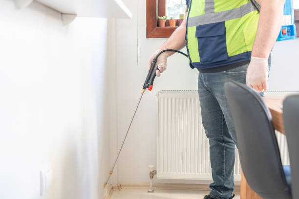 Best Pest Removal Services  in Las Maravillas, NM