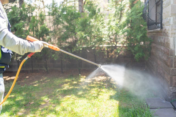 Best Termite Control Services  in Las Maravillas, NM