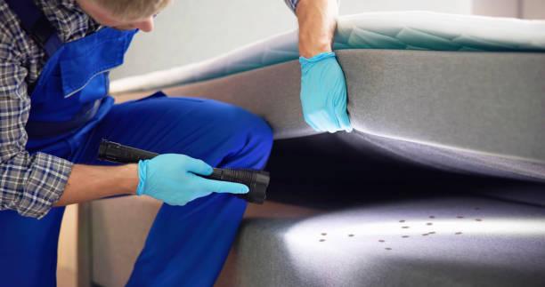 Wasp Removal Services in Las Maravillas, NM
