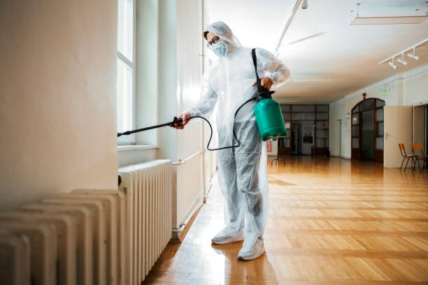 Best Local Pest Control Services  in Las Maravillas, NM